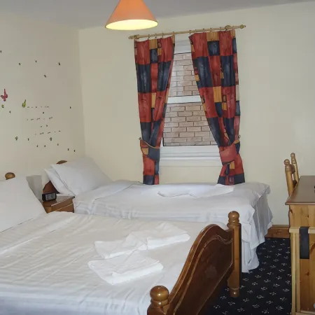 Twin Lions Hotel
