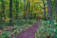 Towhee cabin at Driftless Creek - 4-Star