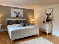 Vacation apartment: Villa Eichbaum - Center - Kitchens