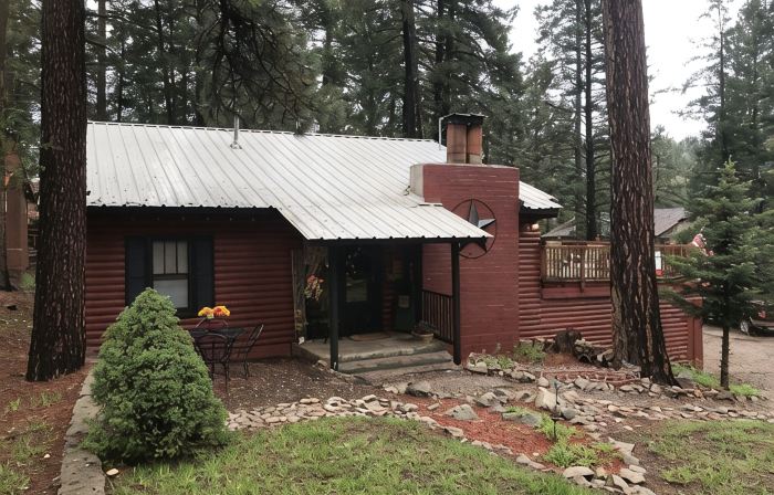 Mountain Cabin walking distance to Park and Brewery. Level off street parking.