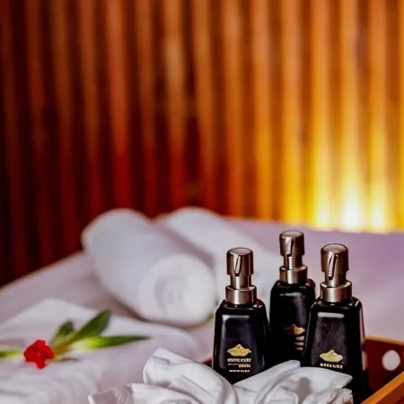 Covanro Sigiriya - Where Heritage Meets Luxury