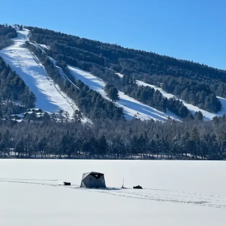 Highland Dream: All Season Beauty! 5Br/2BA, Lakefront, Stay and Play. 4 Season