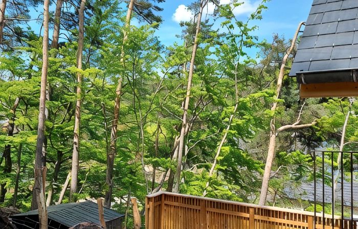 Chalet Henri, Grand Confort, au Calme, vue D'exception, Sauna, 4/6 Personnes