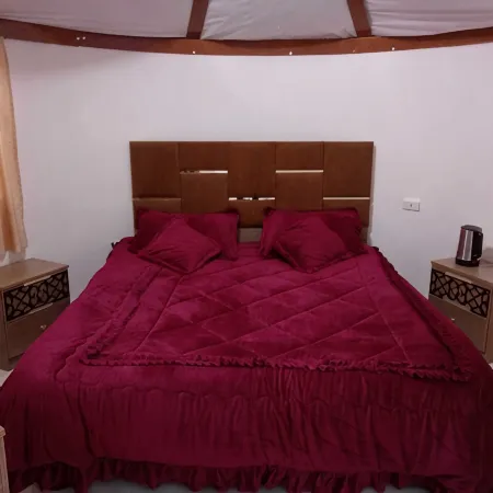 Petra Falcons Camp