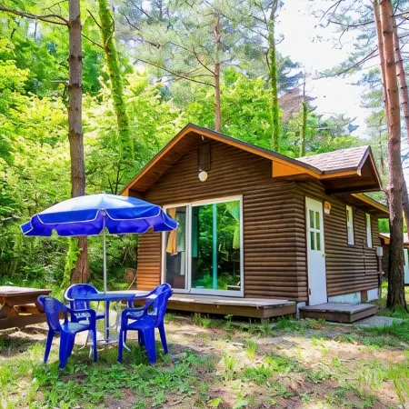 Forest House