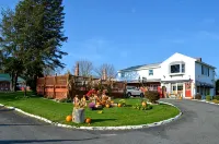 Williamstown Motel - parking