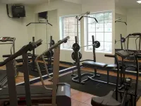 Rio Vista Inn Business High Class Tampico - نادي رياضي