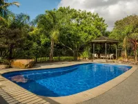 Kauri Park Motel - piscine