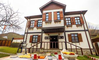 Şamlıoğlu Historical Villa