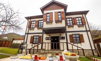 Şamlıoğlu Historical Villa - Housity