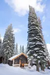 Storm Mountain Lodge Cabins & Dining Hotels near Banff National Park