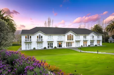 Wallaceville Motor Lodge Отели рядом с достопримечательностью «Eastbourne Beach»