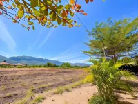 Panorama Ciletuh Hotels in Ciemas