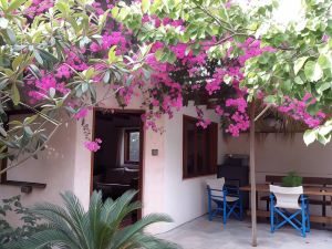 Exclusive Cottage in S. West Crete in a Quiet Olive Grove Near the Sea!