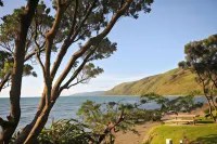 Kapiti Waves