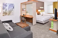 SpringHill Suites Ashburn Dulles North