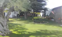 Masia Can Canyes & Spa
