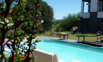 Karoo Soul