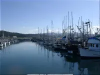 Harbor View Inn Hotels in El Granada