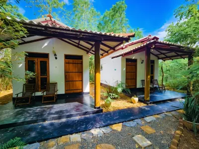 Bright Sun Safari Hotels in 