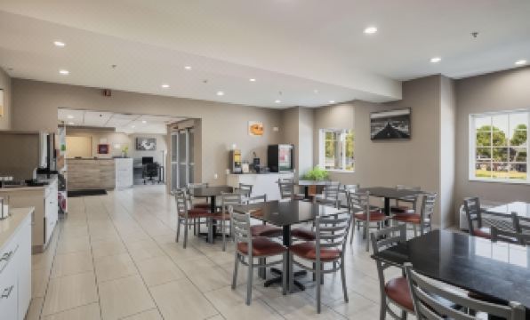 3. 소네스타 에센셜..