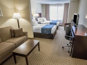 Comfort Suites University Area Notre Dame-South Bend