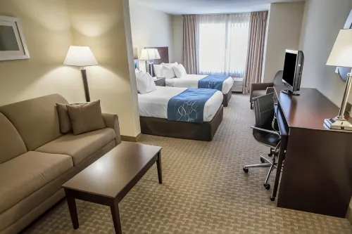 Comfort Suites University Area Notre Dame-South Bend Hoteles en Municipio de Clay