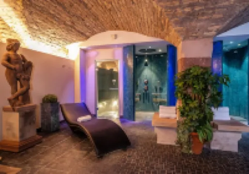 Hôtel & Spa le Bouclier d'or