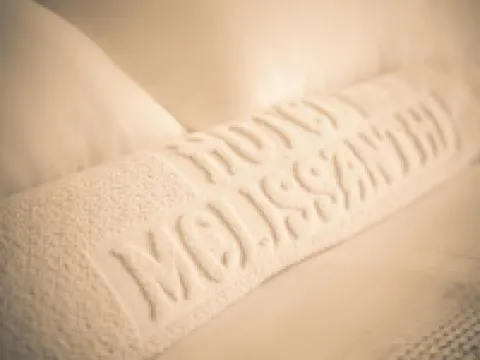 Hotel Melissanthi Hotels in Nea Propontida