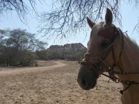 Rancho Santana Peru