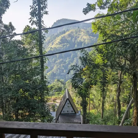 Ella Nature Nest