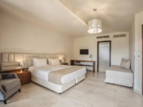 Electra Hotel Hotels in Volvi