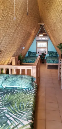 Polynesian Paradise - Summer Specials!