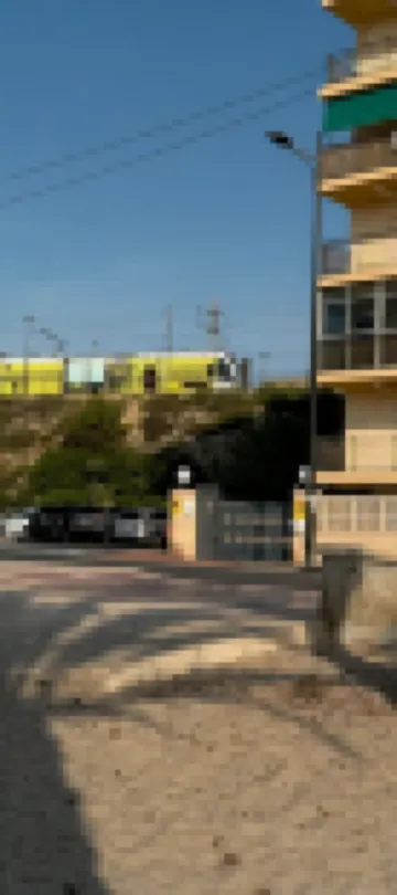 Relax under the palm trees