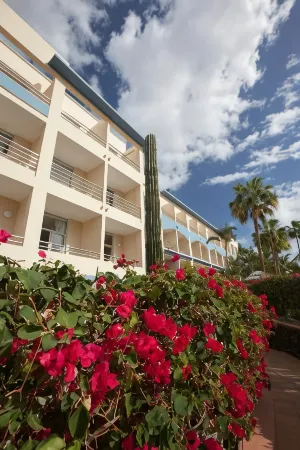 IFA Altamarena by Lopesan Hotels