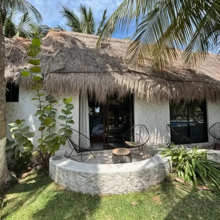 Mayan Mittoz