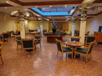 Princess Hotel and Casino Free Zone - Desayuno