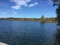 Cozy cottage trails, trout fishing & fireplace.