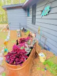 Cabin on lake . Pet friendly