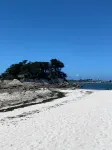 TI AR Milin Entre Mer et Forêt au Dossen à Santec Proximité Roscoff île de Batz