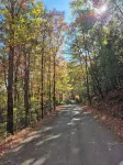 Cozy cabin in peaceful Ellijay with WiFi, AC - Alphydda