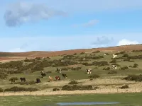 Park Lodge sleeps 6 On Beautiful Rural Welsh Farm - 2 звезды