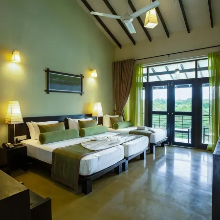 Oak Ray Wild Yala