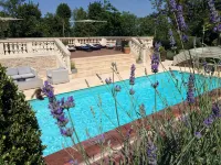 Hôtel la Villa Eugene - Pool