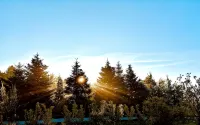 Summer House Near Beach and Forest with Large Garden - Homestays