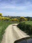 House / Villa - Cetona