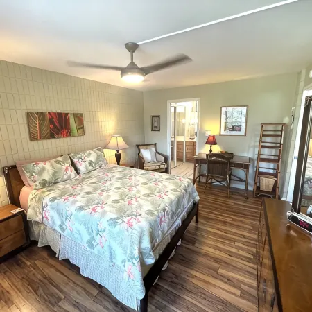 Maui Condo Steps from the Beach--Mountain Views and Partial Ocean View