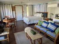 Treehouse on Guadalupe River           Riverfront Cabin - Alphydda