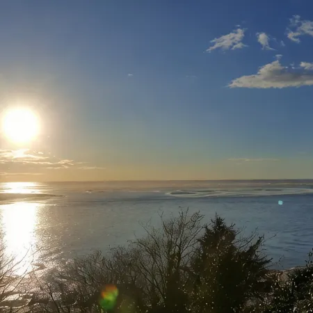 The Blue Rose Cottage - Amazing Views - Direct Beach Access - Pets Allowed