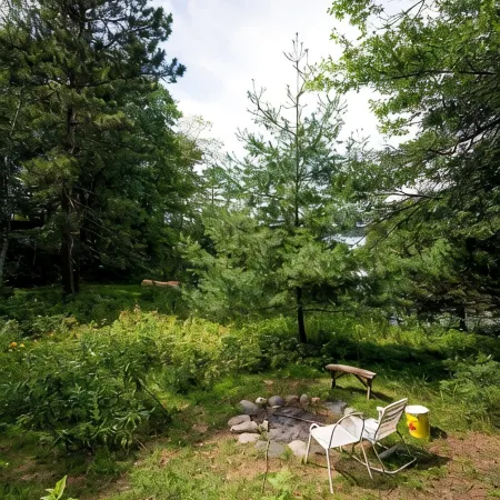 Spacious Rush Lake Home -Spacious, 2 Docks/1 Lift